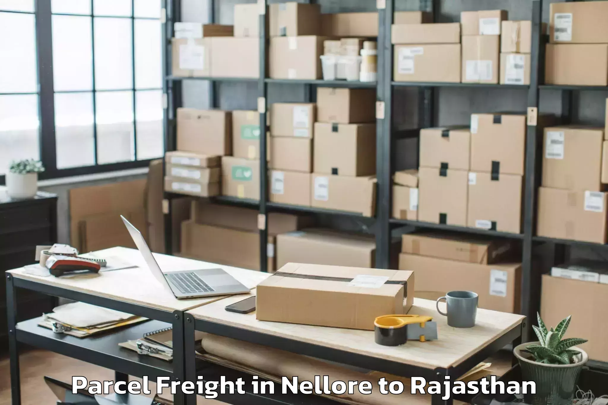 Easy Nellore to Jagannath University Jaipur Parcel Freight Booking